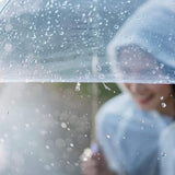 Clear Dome See Through Umbrella Transparent Rain Windproof